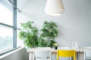 HOME Kweeklampen zorgen voor kunstmatig licht voor weelderige plantgroei en bloei in binnentuinen het hele jaar